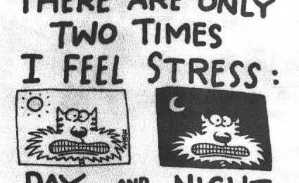 Synes denne var litt morsom. Det begynner vel å nærme seg at jeg har det slik (foto: lessonsonstress.tumblr.com).