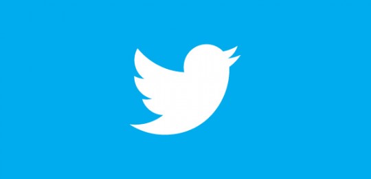 twitter-bird-white-on-blue
