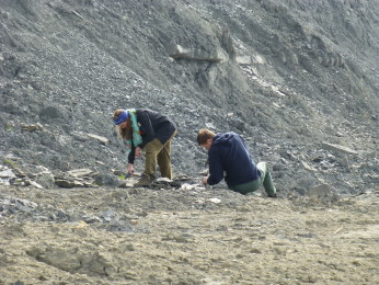 Meg og Krzysztof leter etter ammoniter langs Jura kysten