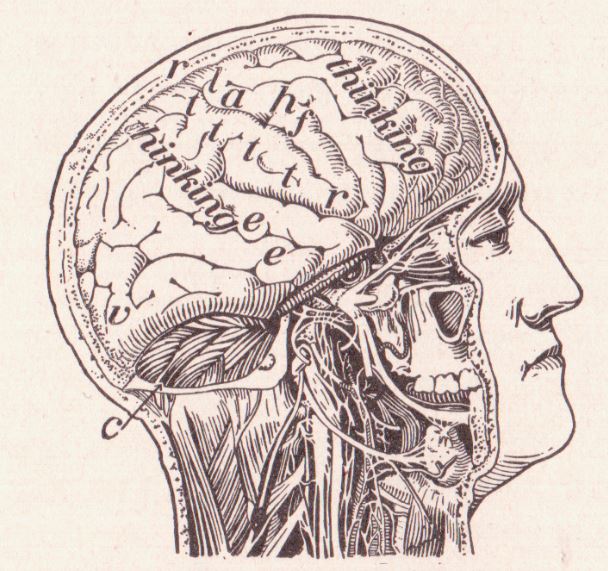 Å tenke i begreper ansees av mange som kilden til kunnskap om verden. Tyler Burge er uenig. Illustrasjon: The Human Body and health (1908)