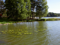 Vansjø